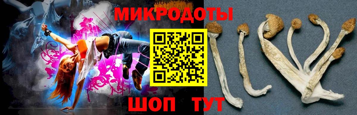 Заречный  наркошоп  Вход с VPN  Галлюциногенные грибы GOLDEN TEACHER 